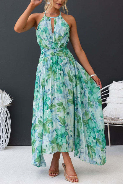 Robe Maxi en Chiffon Zandra